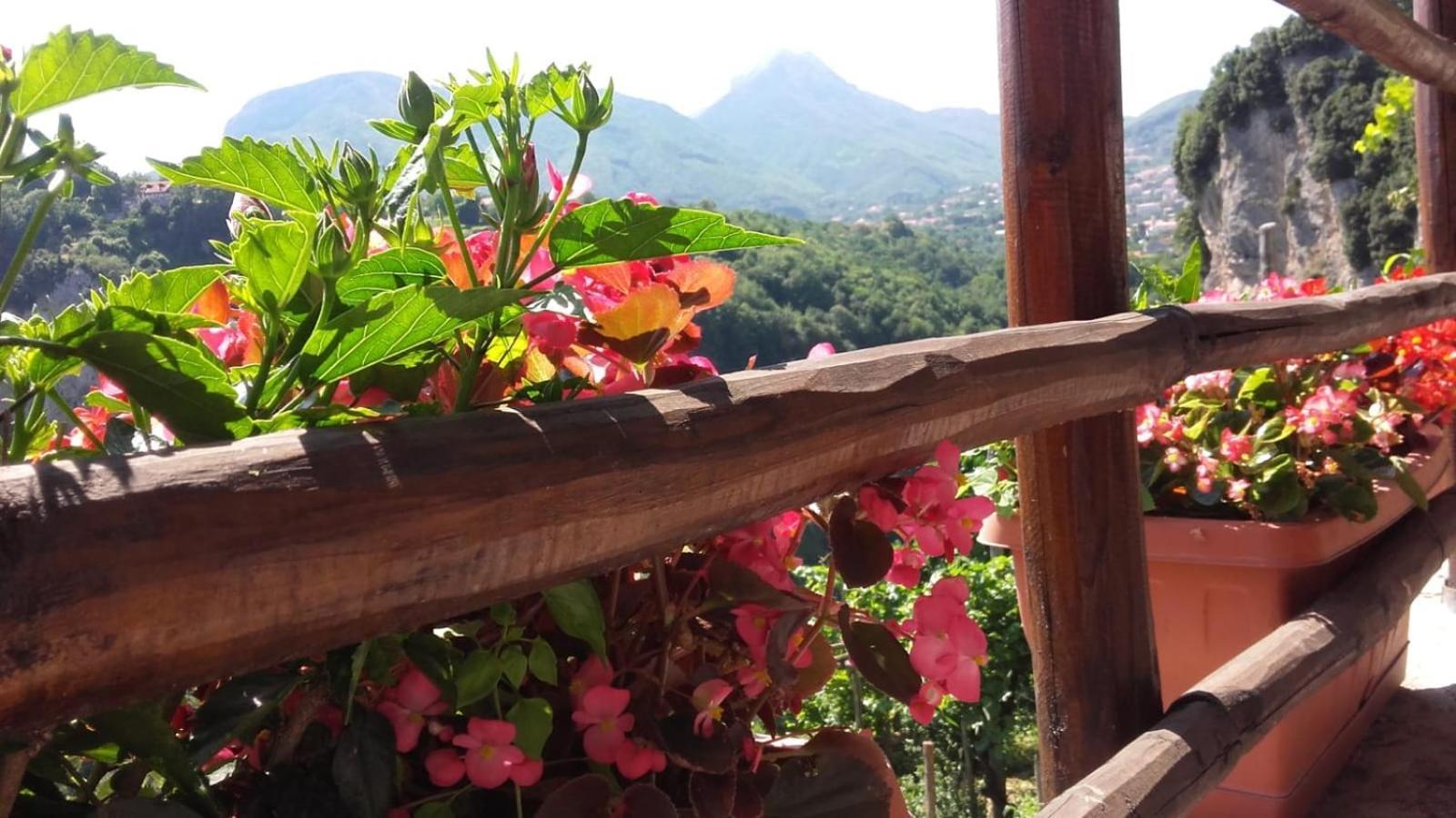 Agriturismo Orrido Di Pino Agerola Eksteriør billede