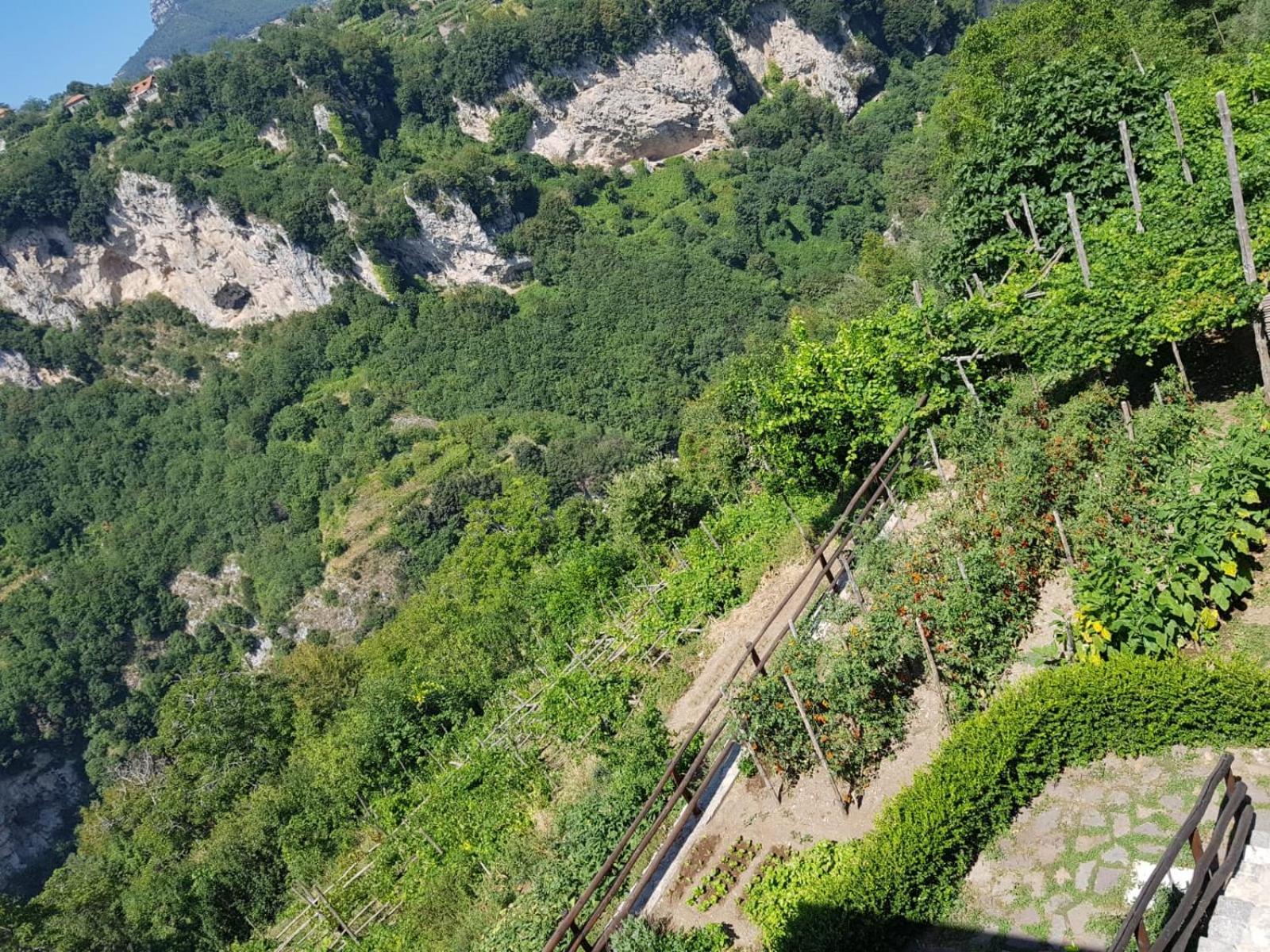 Agriturismo Orrido Di Pino Agerola Eksteriør billede