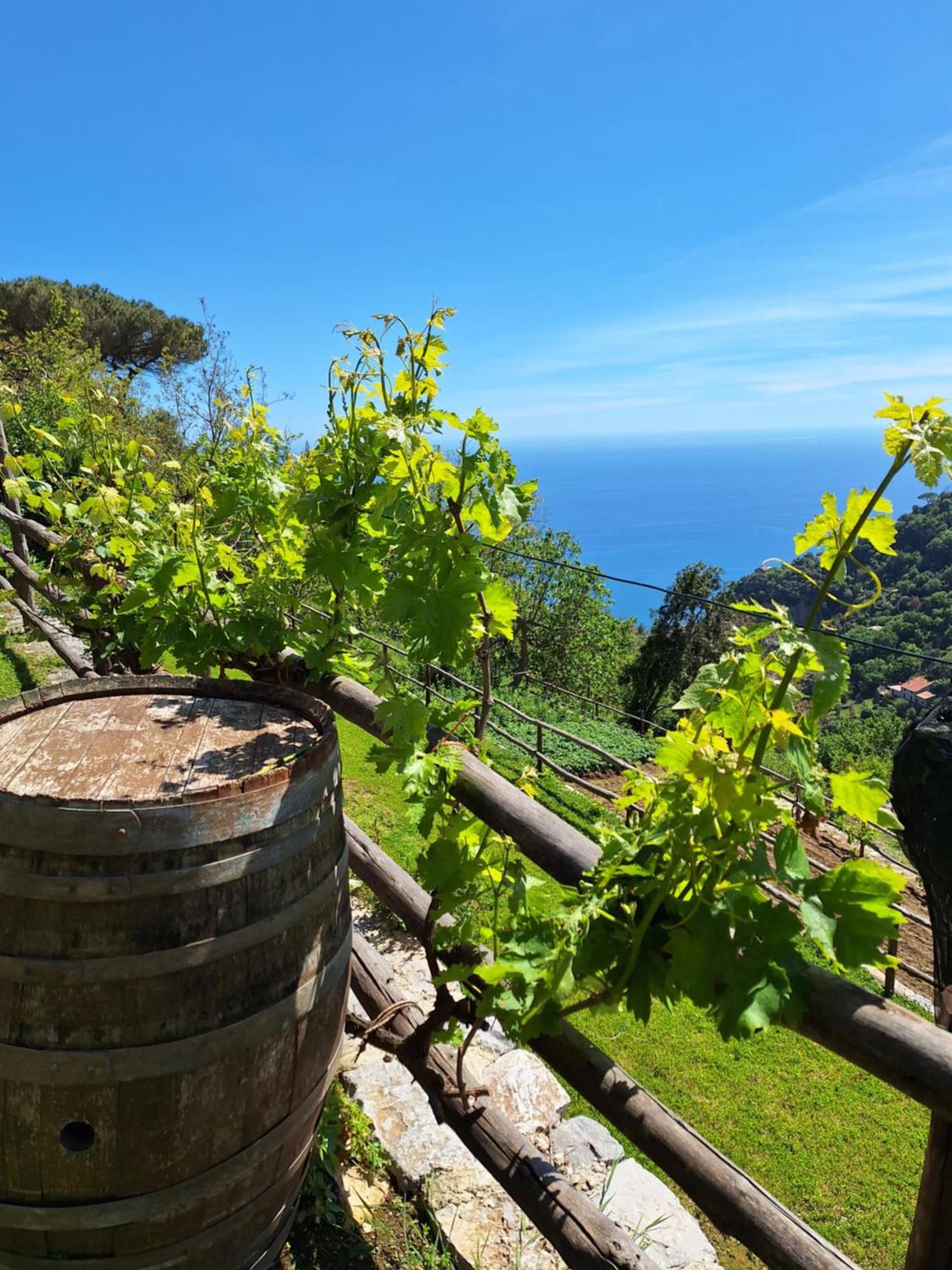 Agriturismo Orrido Di Pino Agerola Eksteriør billede