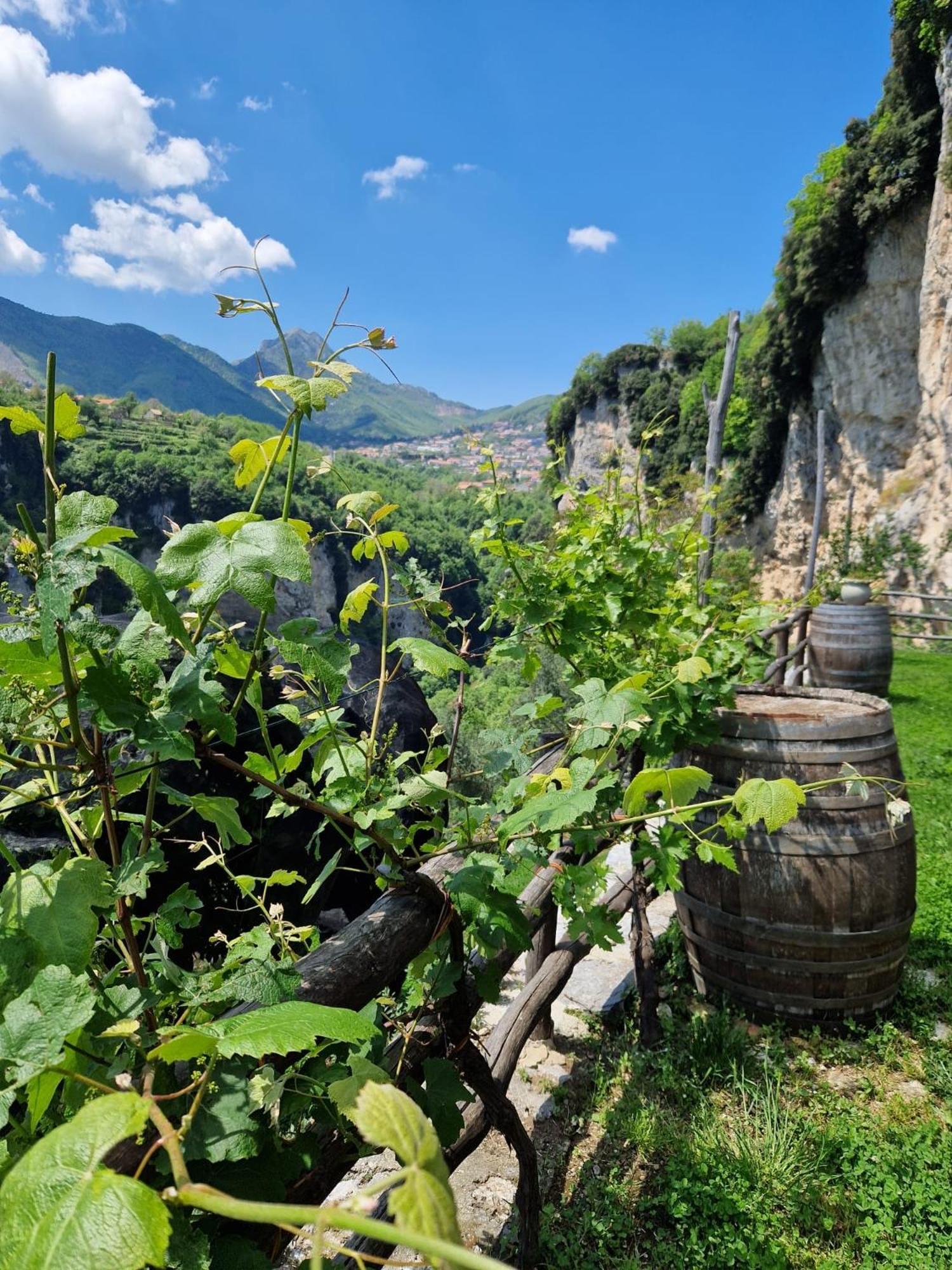 Agriturismo Orrido Di Pino Agerola Eksteriør billede
