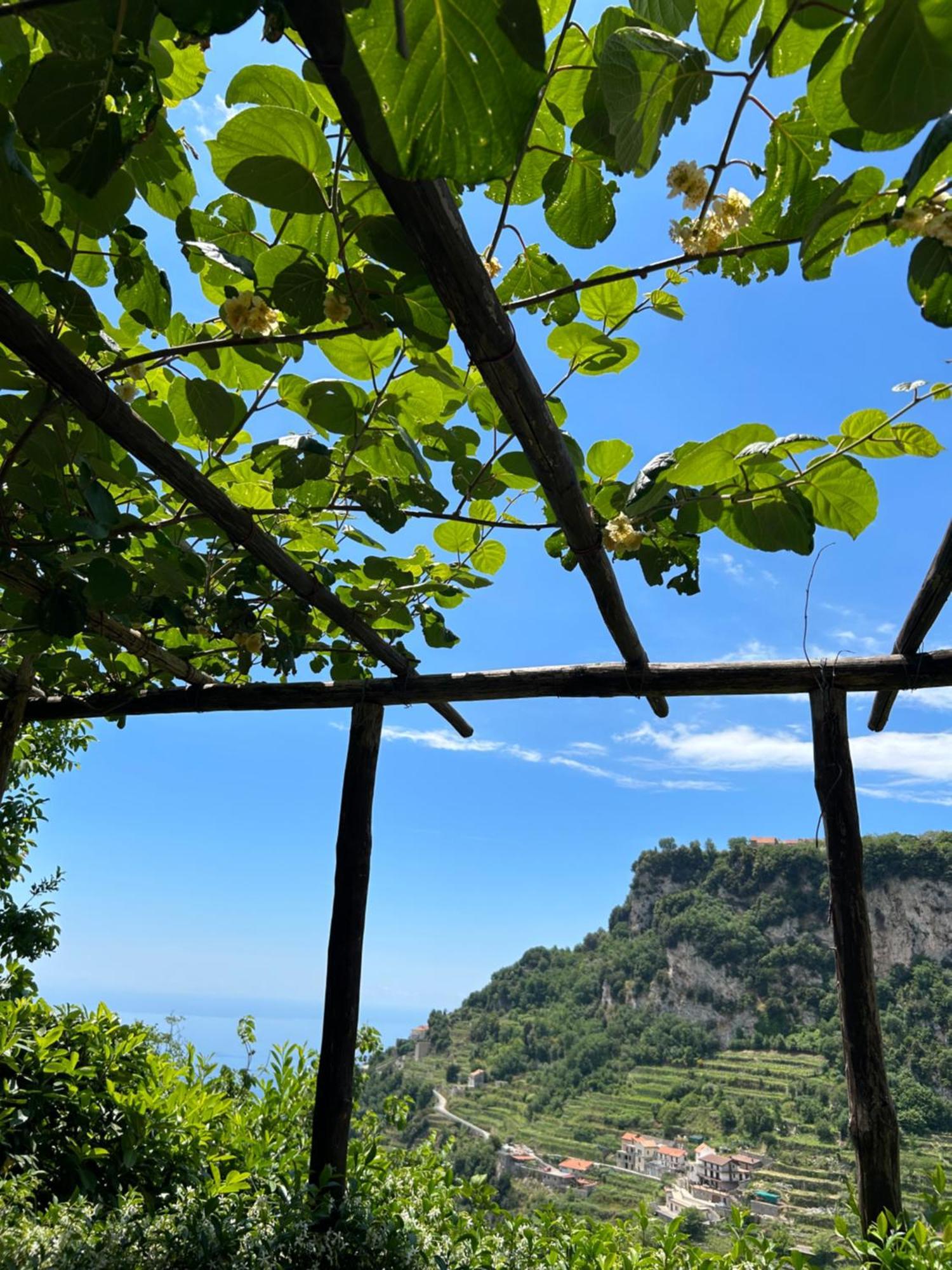 Agriturismo Orrido Di Pino Agerola Eksteriør billede