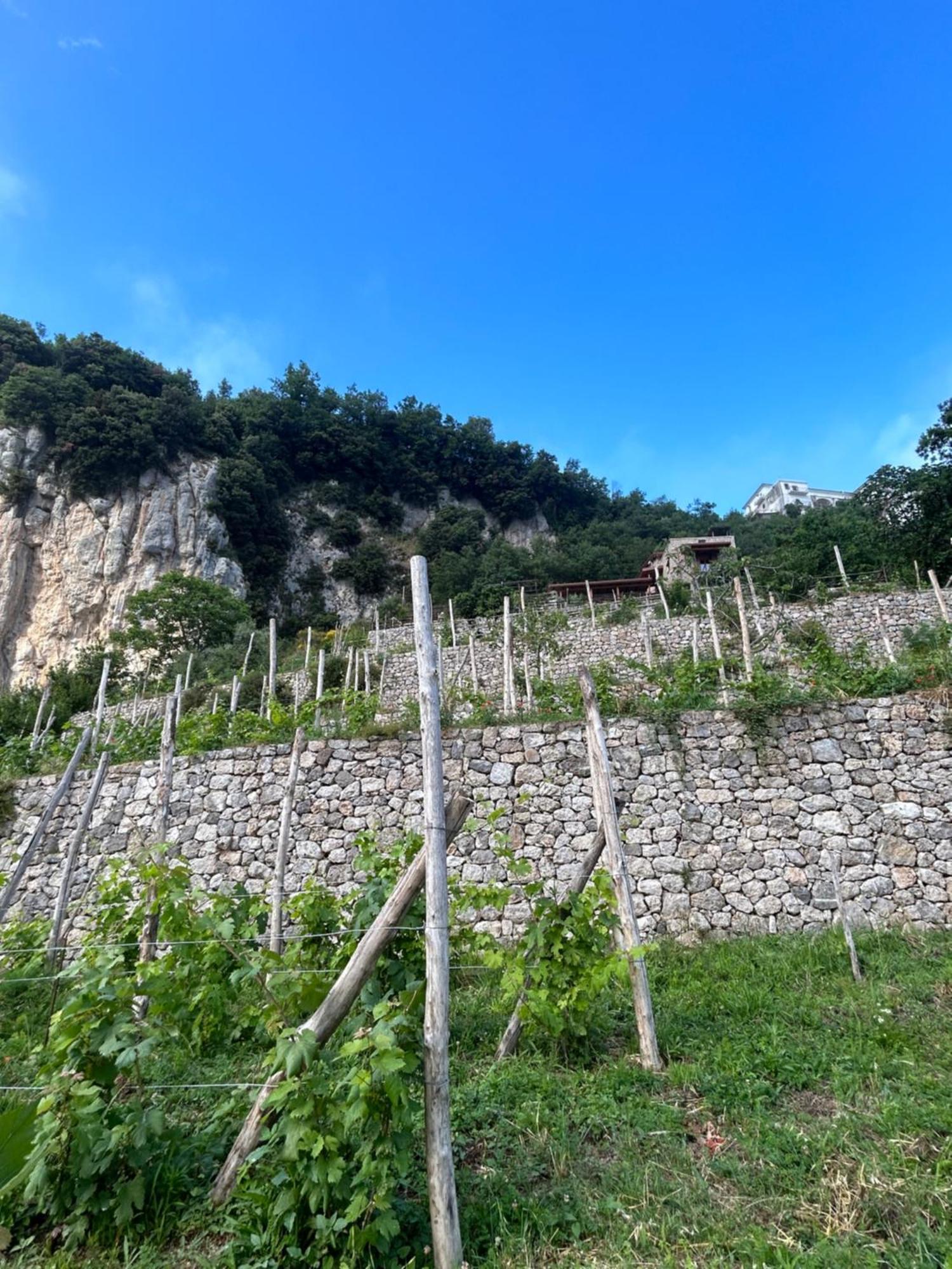 Agriturismo Orrido Di Pino Agerola Eksteriør billede
