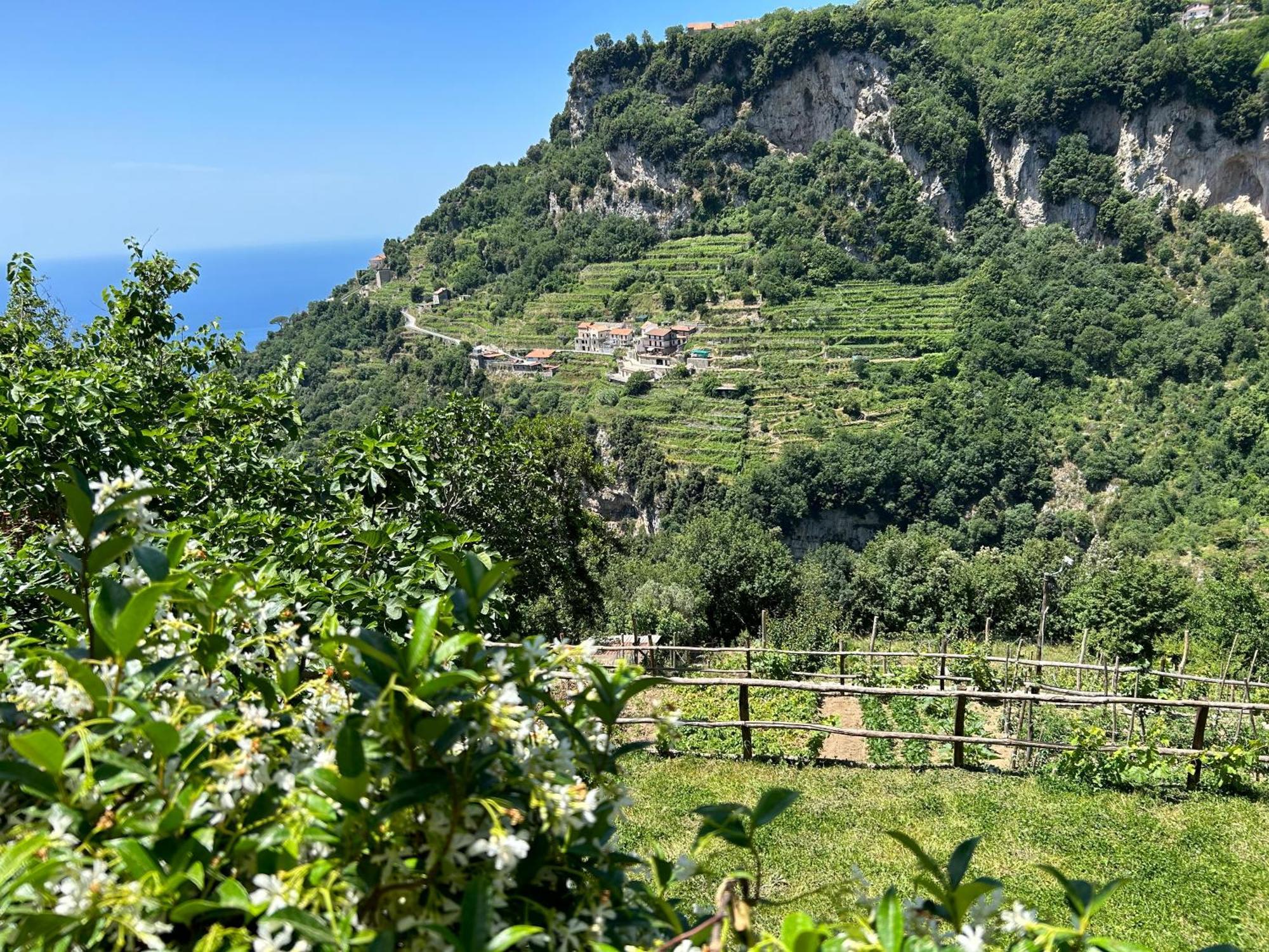 Agriturismo Orrido Di Pino Agerola Eksteriør billede