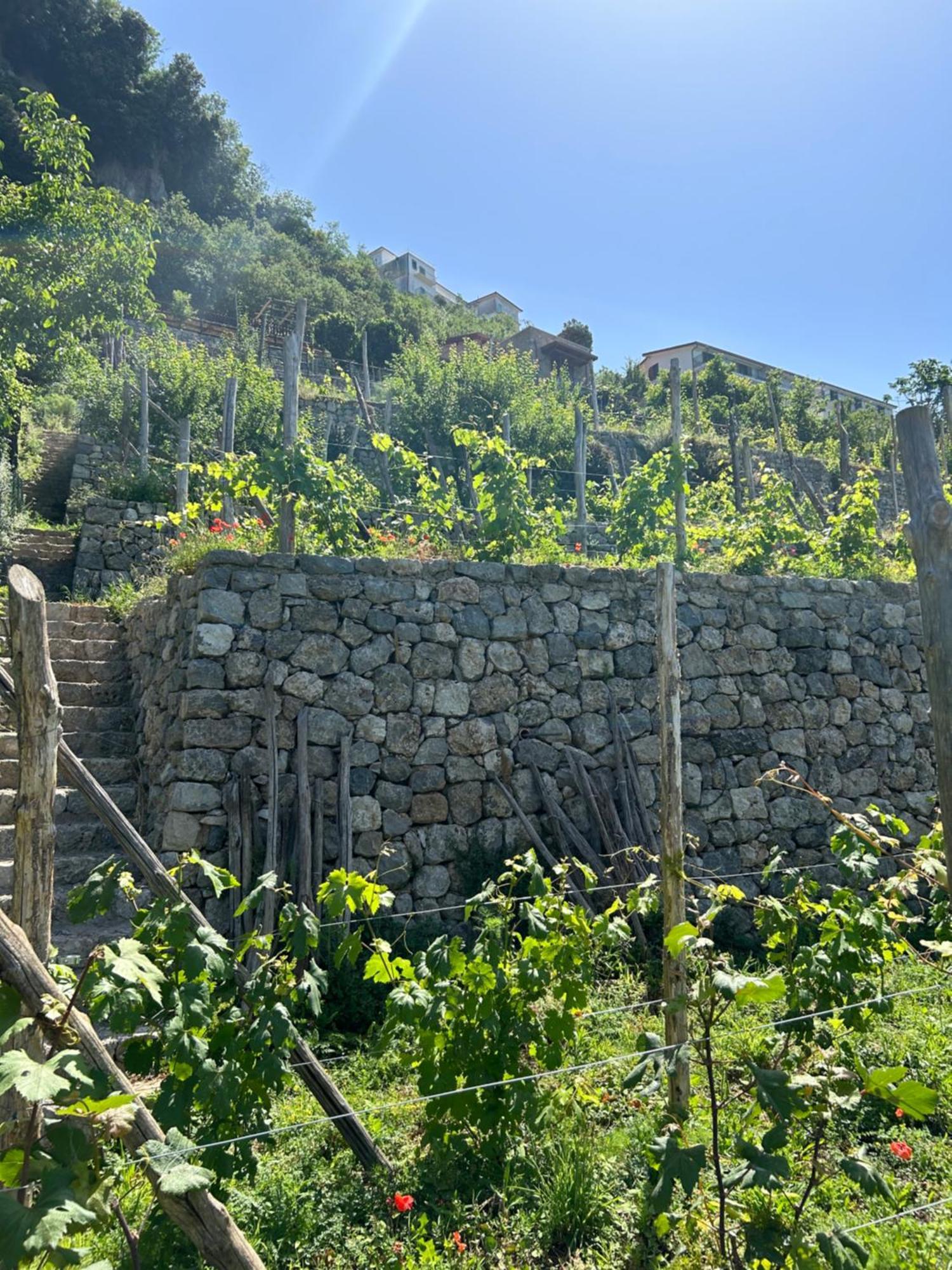 Agriturismo Orrido Di Pino Agerola Eksteriør billede
